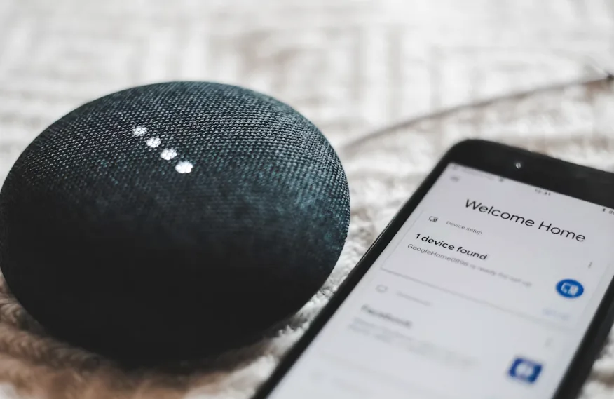 Voice assistant used for smart home automation